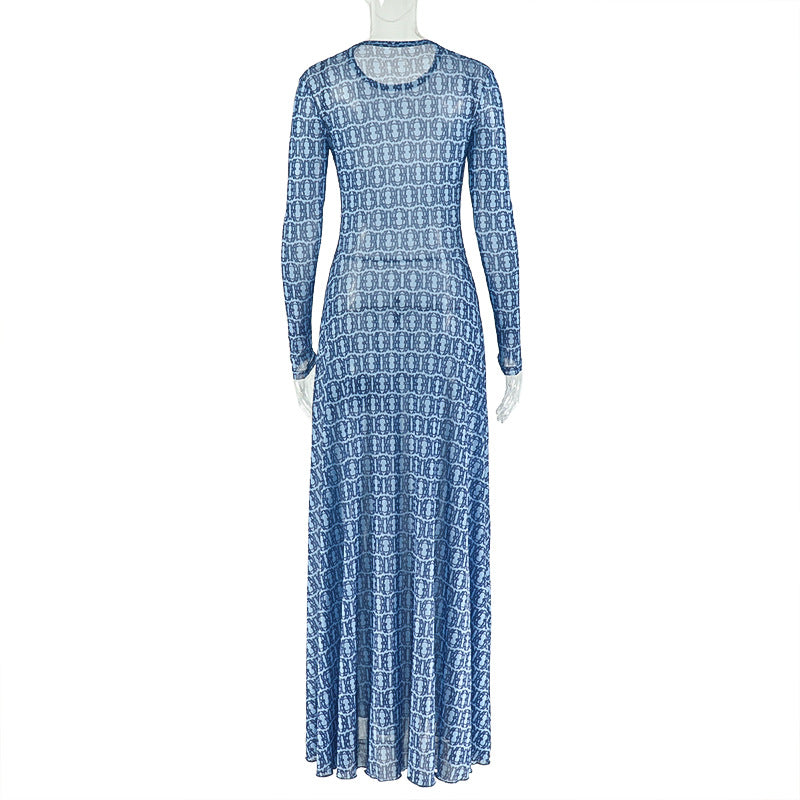 Women's Summer Print Street Round Neck Long Sleeve Slim Waist Sheer A-Line Dress 8