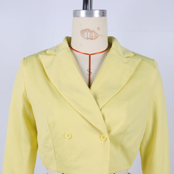 Women elegant Career Turndown Collar Long Sleeve Blazer and Shorts Two-piece Set 12