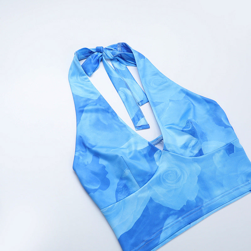 Sexy Holidays Printed Halter Neck Straps Top  & Mesh Skirt Set 12