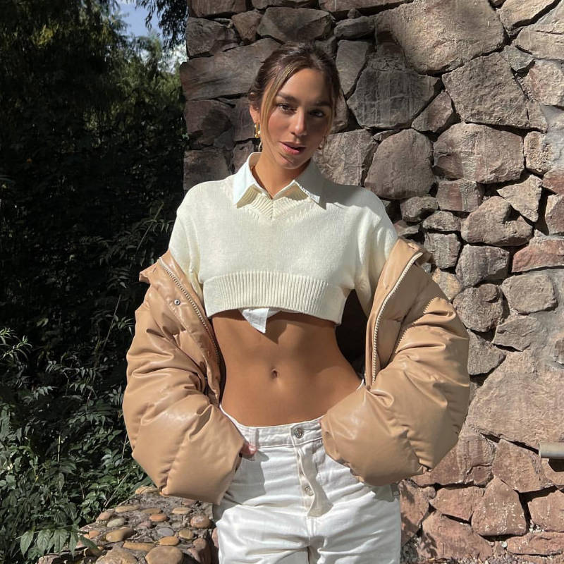 Women's Short Knitting Top Y2K Pullover V-Neck Crop Long Sleeve Top