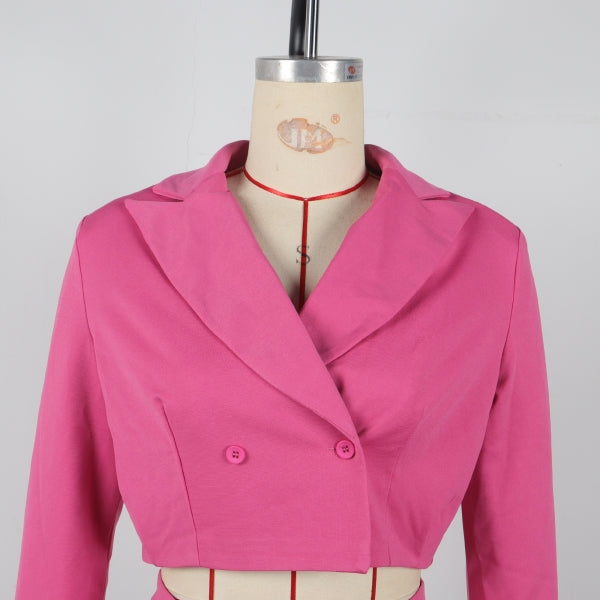 Women elegant Career Turndown Collar Long Sleeve Blazer and Shorts Two-piece Set 19