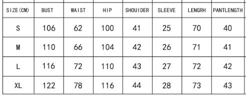 Women Shirt Casual Two Piece Set