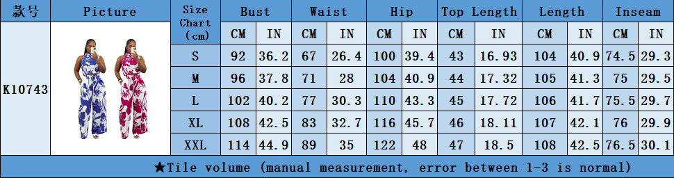 Fashion Women's Sleeveless Pocket Printed Two Piece Pants Set 11