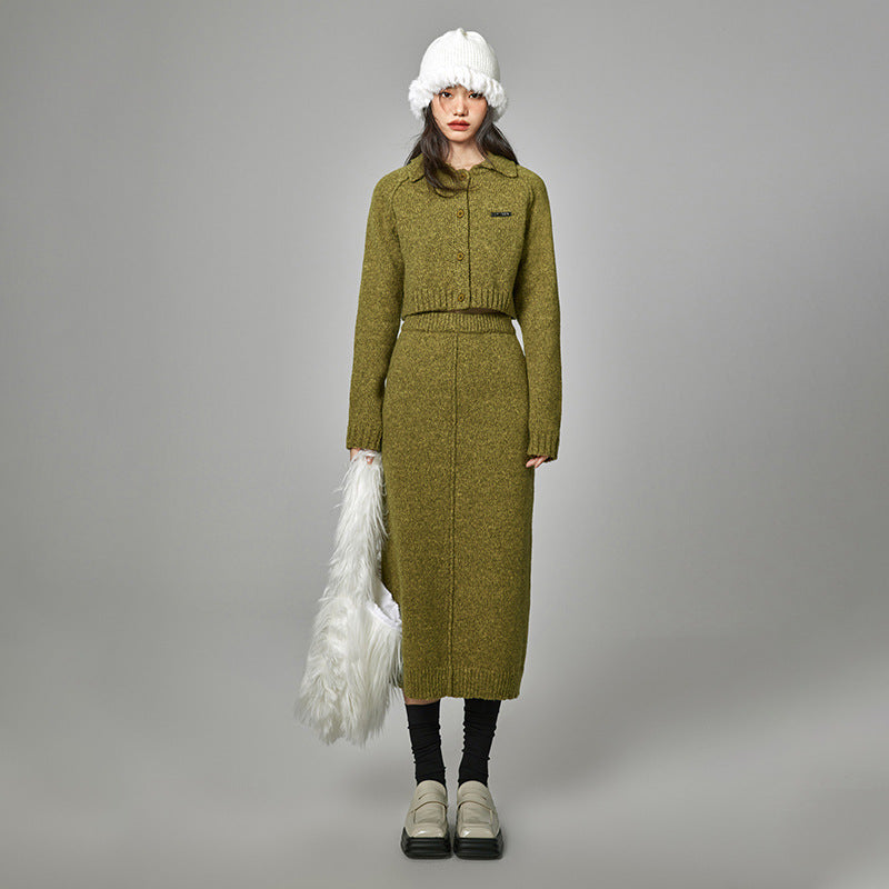 Knitting Suit Women's Autumn Chic Fashion Casual Sweater Skirt Two-Piece Set 9