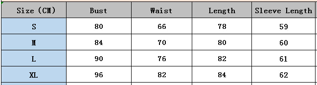 Women Fall and Winter Long Sleeve Flower Bud Strap Dress 18