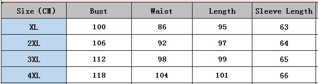 Plus Size Women Long Sleeve Print Dress 7