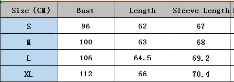 Women's Light Blue Floral See-Through Mesh Lantern Sleeve Shirt 7