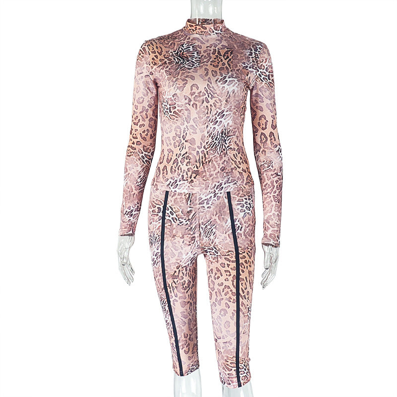 Women's Sexy Leopard Print Sheer Long Sleeve Top & Fitted Pants Set 6