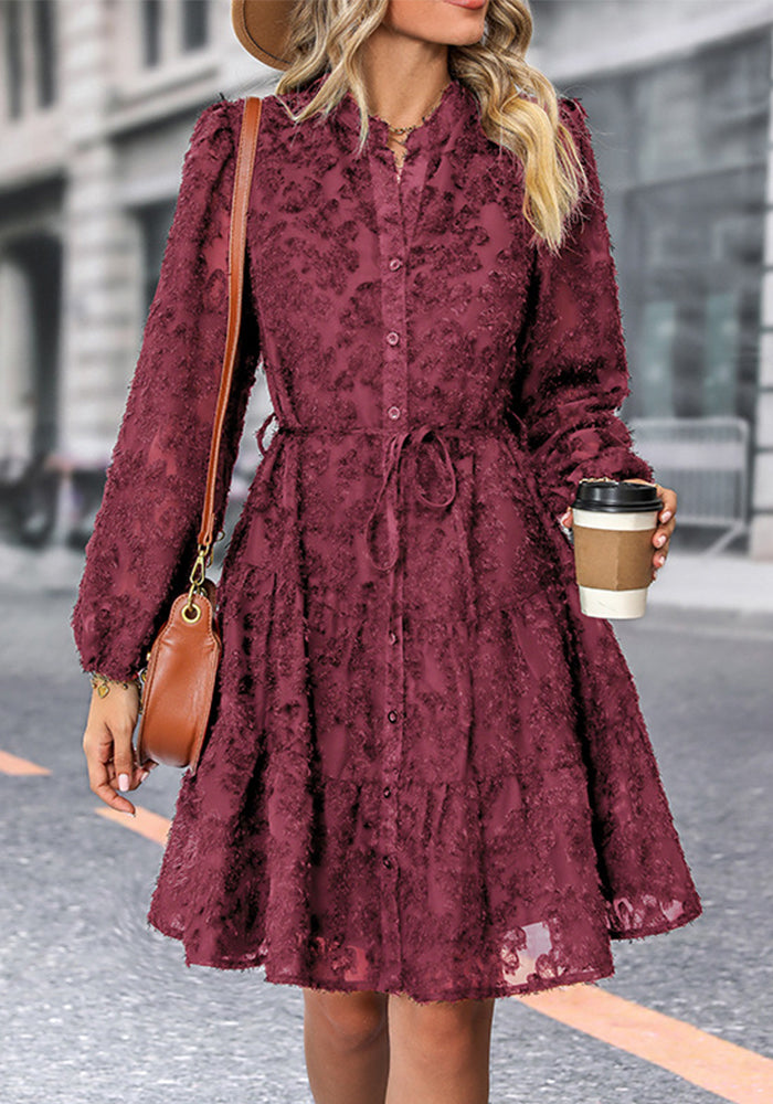 Women Long Sleeve See-Through Jacquard Dress