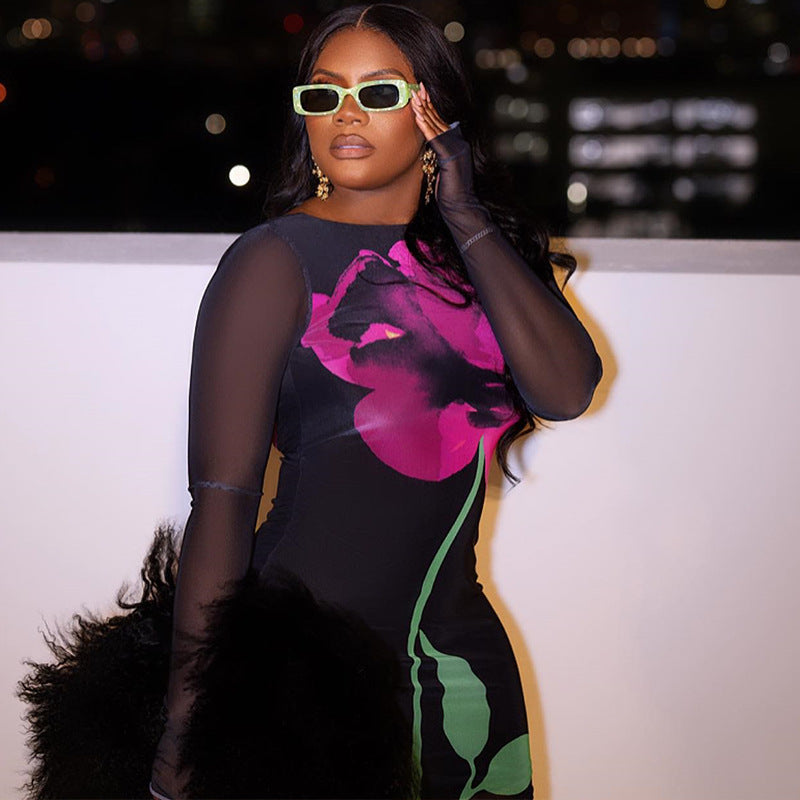 Women Print Round Neck Mesh Long Sleeve Bodycon Dress 5