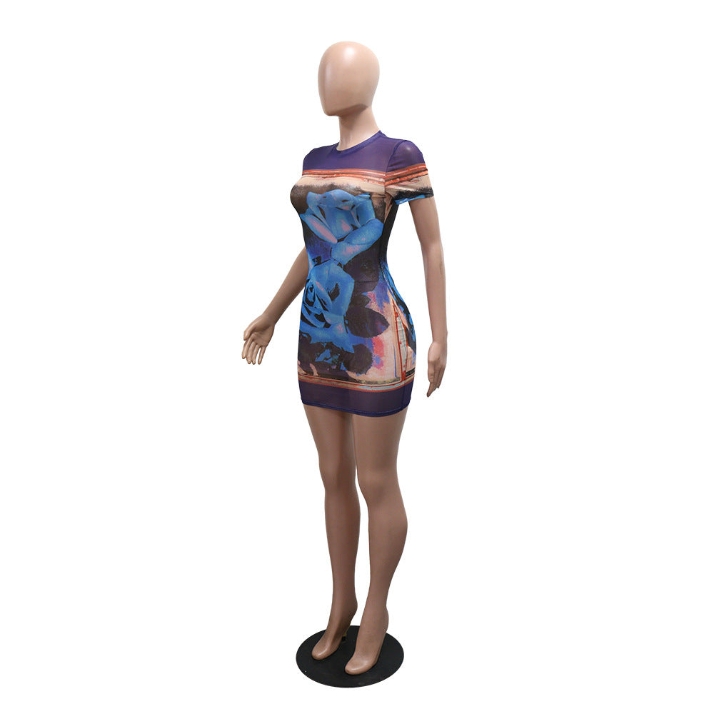 Women Round Neck Short Sleeve Print Sexy See-Through Dress 4