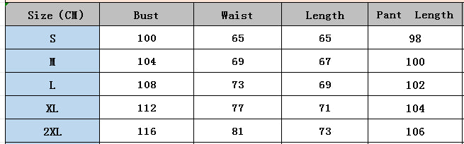 Women's autumn fashion loose elegant long sleeve color matching two piece pants set 11