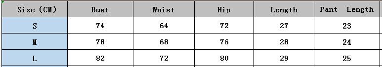 Women leopard print sexy temptation suspenders and shorts Two Piece Set 8