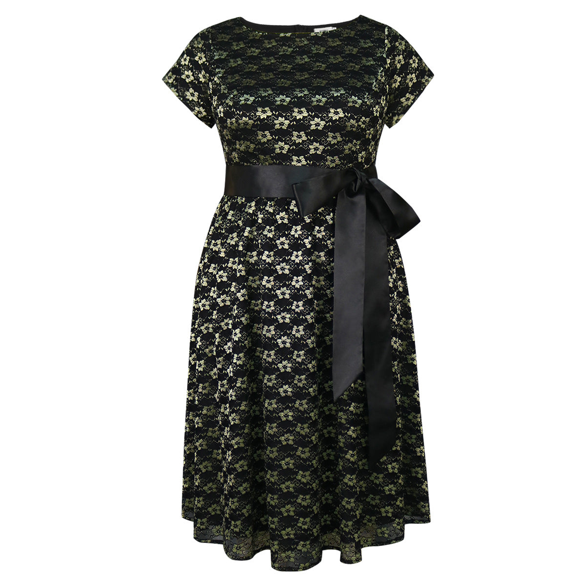 Plus Size Lace Round-Neck Short-Sleeve A-Line Elegant Chic Party Dress 10