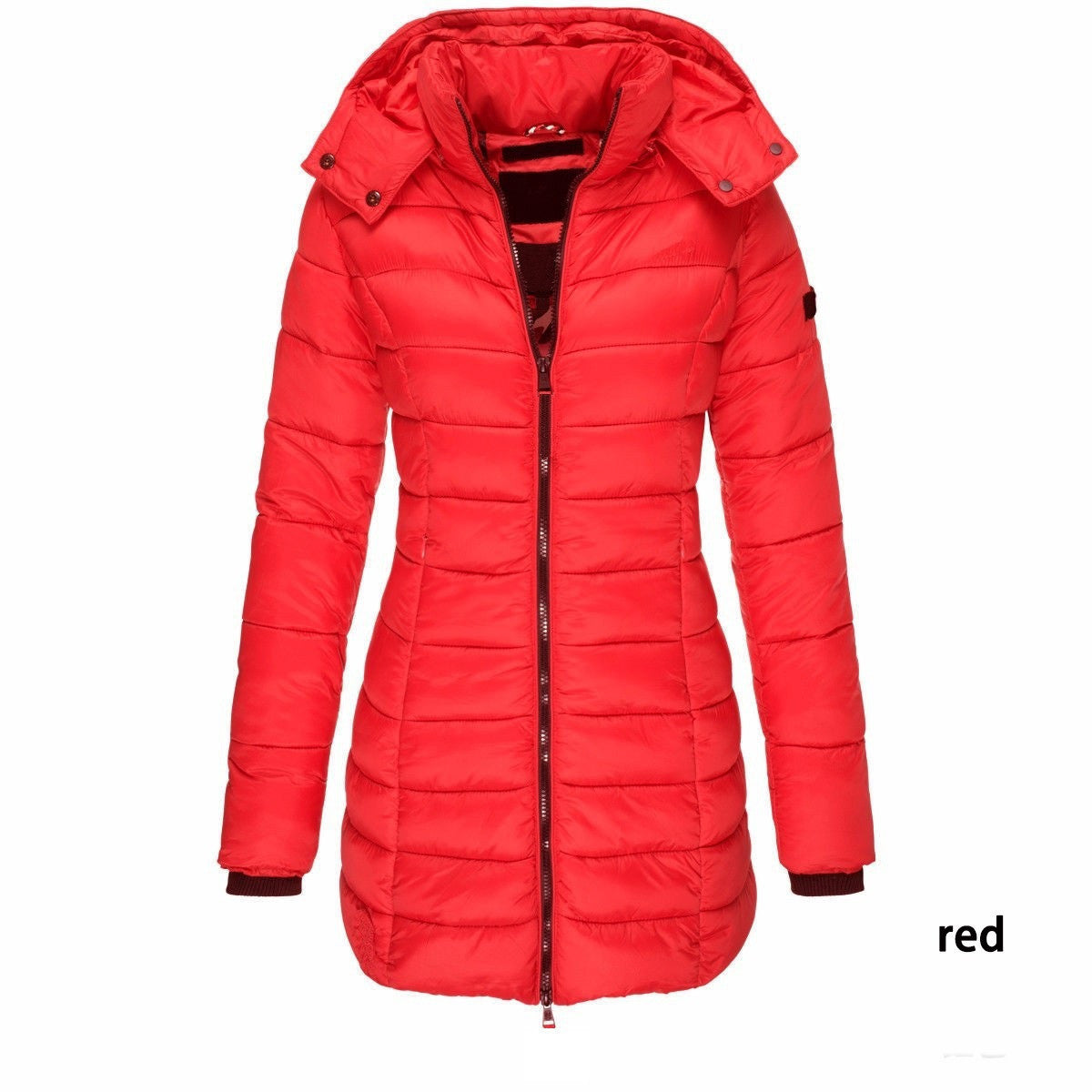 Slim Hooded Zipper Cotton Padded Down Jacket For Women 9
