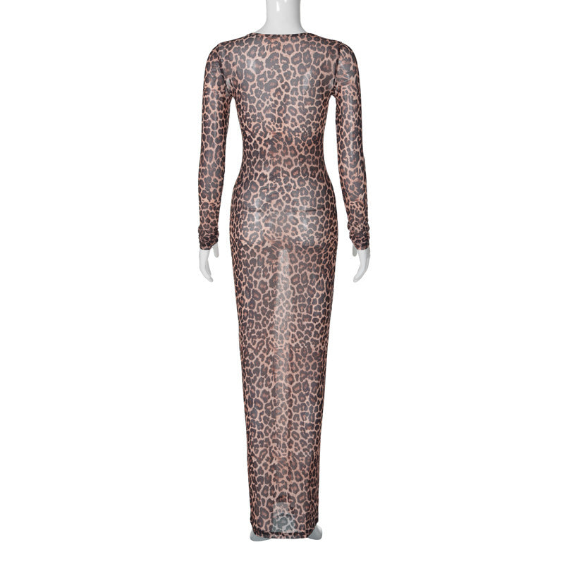 WomenŸ??s Sexy Fashion Sheer Mesh Leopard Print Slim Long Sleeve Dress 5