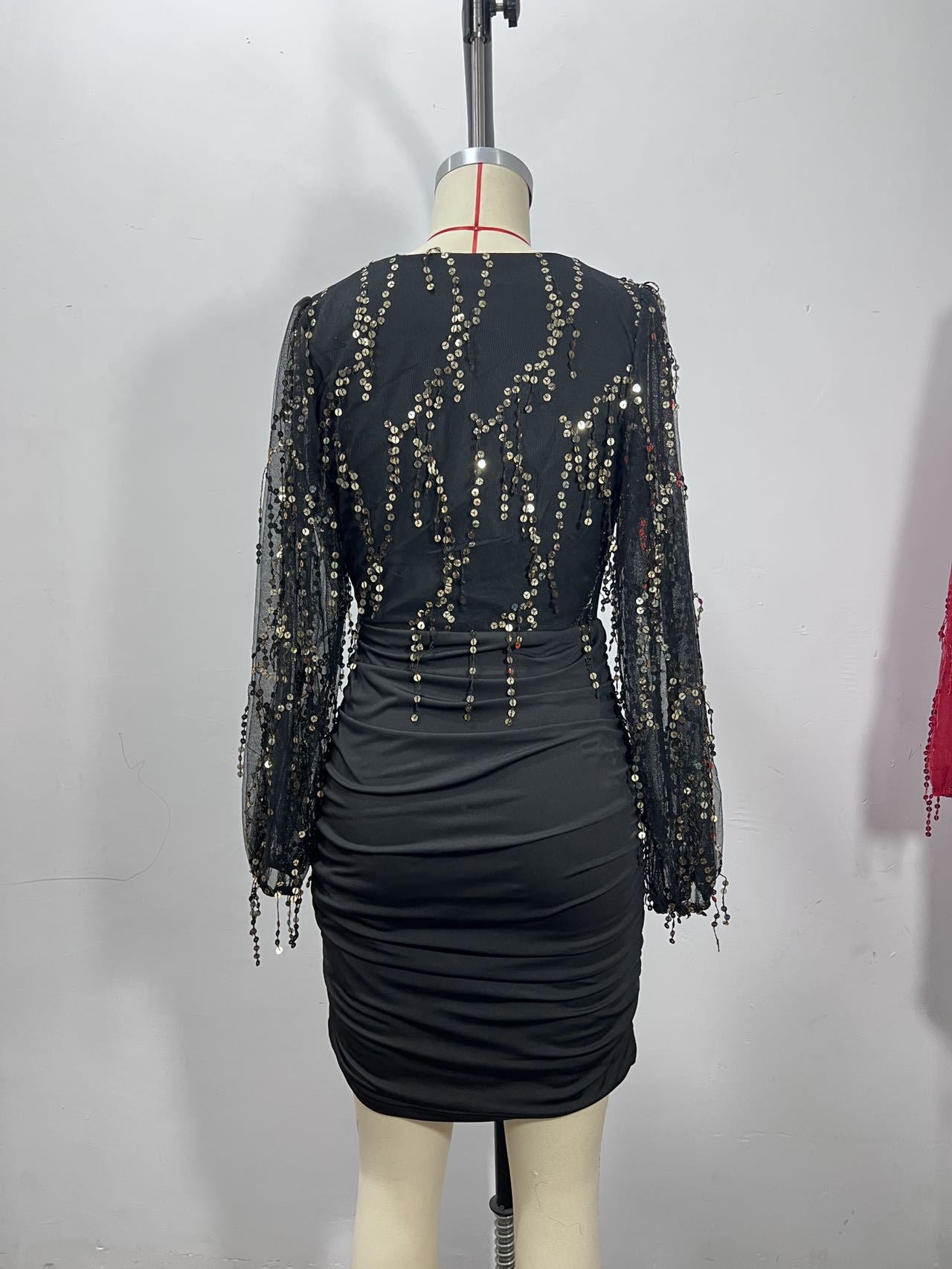 Women's Long Sleeve Sequin Tassel Fashionable Dress 14