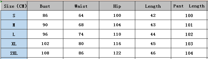 Spring Printed Fashionable Short Sleeve Two Piece Pants Set for Women 12