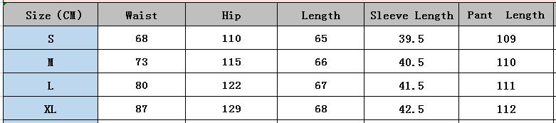 Women'S Casualprint V-Neck Loose Top + Elastic Waist Wide Leg Pants Set 5