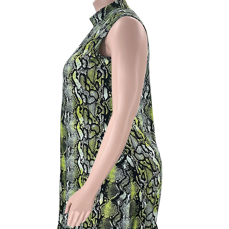 Summer Stand Collar Sleeveless Print Plus Size Women's Stylish Loose Long Dress 20