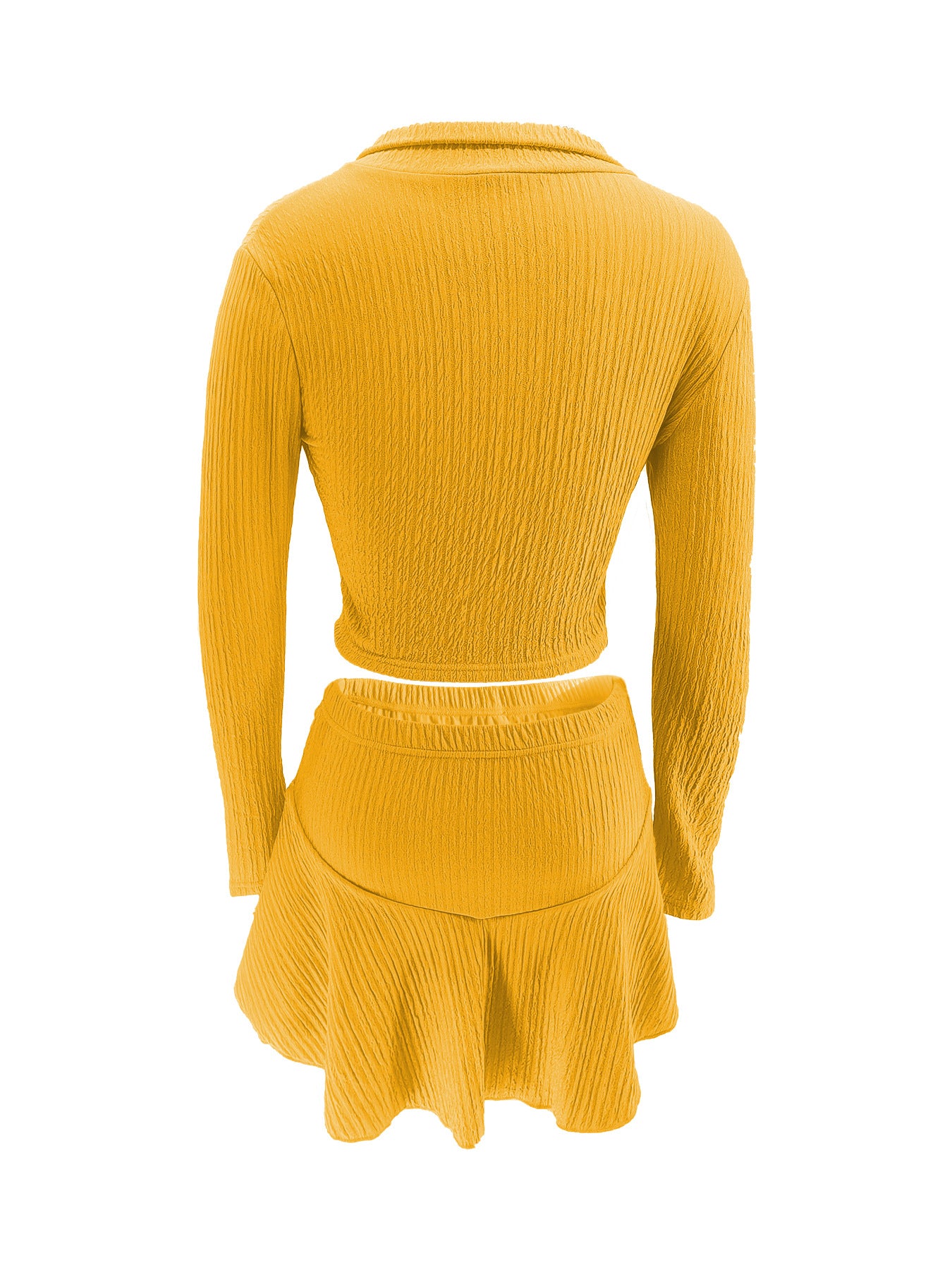 Women Solid Zippered Cropped Top Two-piece set with ruffled skirt 40