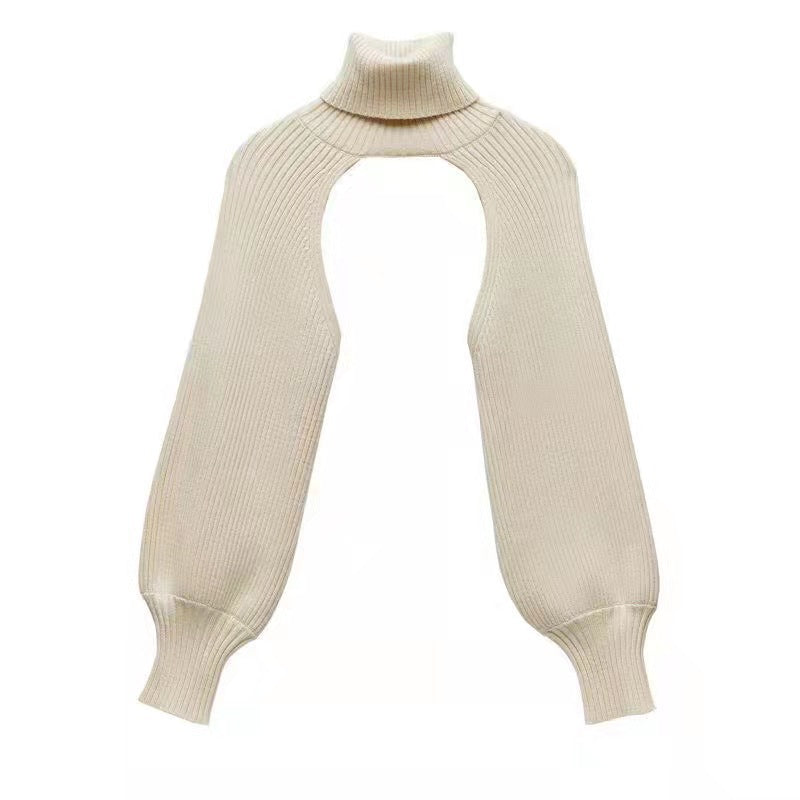 Women Lantern Sleeve High Neck Sweater 23