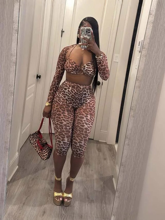 Women Leopard Print Sexy Mesh Two Piece Set