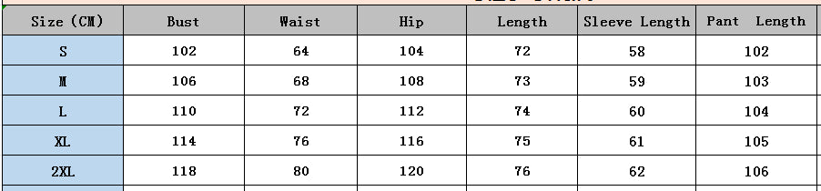 Women print Casual Blazer and Pant two-piece set 20