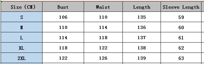 Women Stand Collar Balloon Sleeve Printed Dress 23