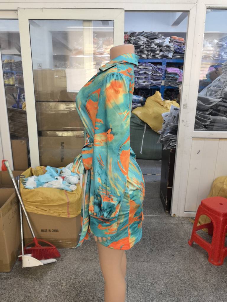 Sexy Fashion Printing Long Sleeve V-Neck Women's Dress 8