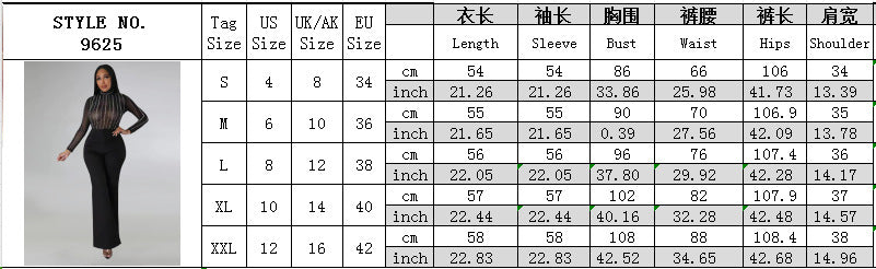 Black Transparent Mesh  Long-Sleeved Top Pants Sexy Nightclub Two-Piece Set 9