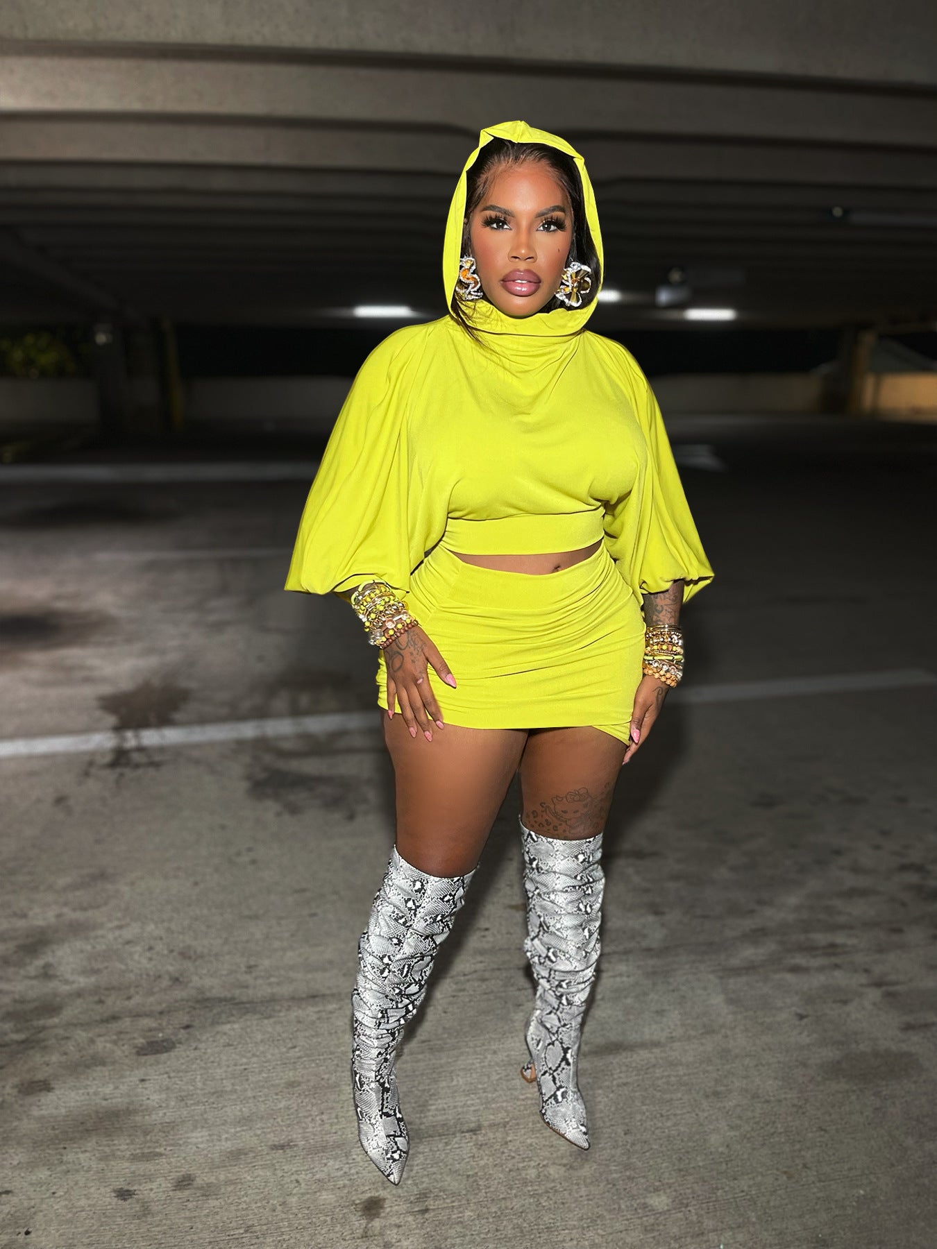 Hooded Puff Sleeve Crop Top Pleated Skirt Two Piece Set