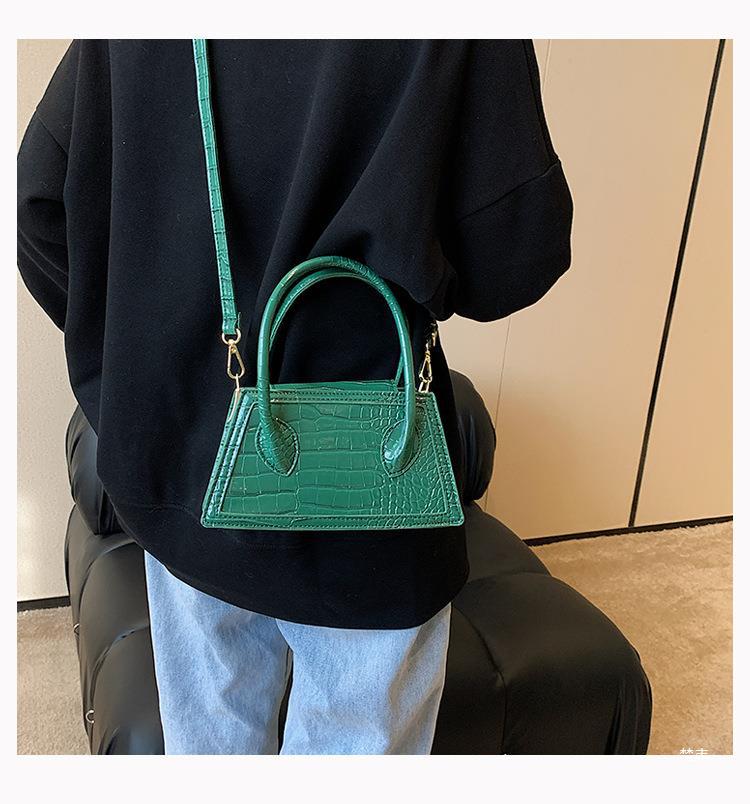 Women's Autumn And Winter Trendy Fashion Crossbody Bag Women's Handheld Small Square Bag 12