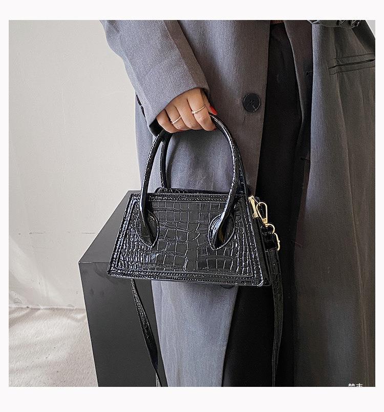 Women's Autumn And Winter Trendy Fashion Crossbody Bag Women's Handheld Small Square Bag 14