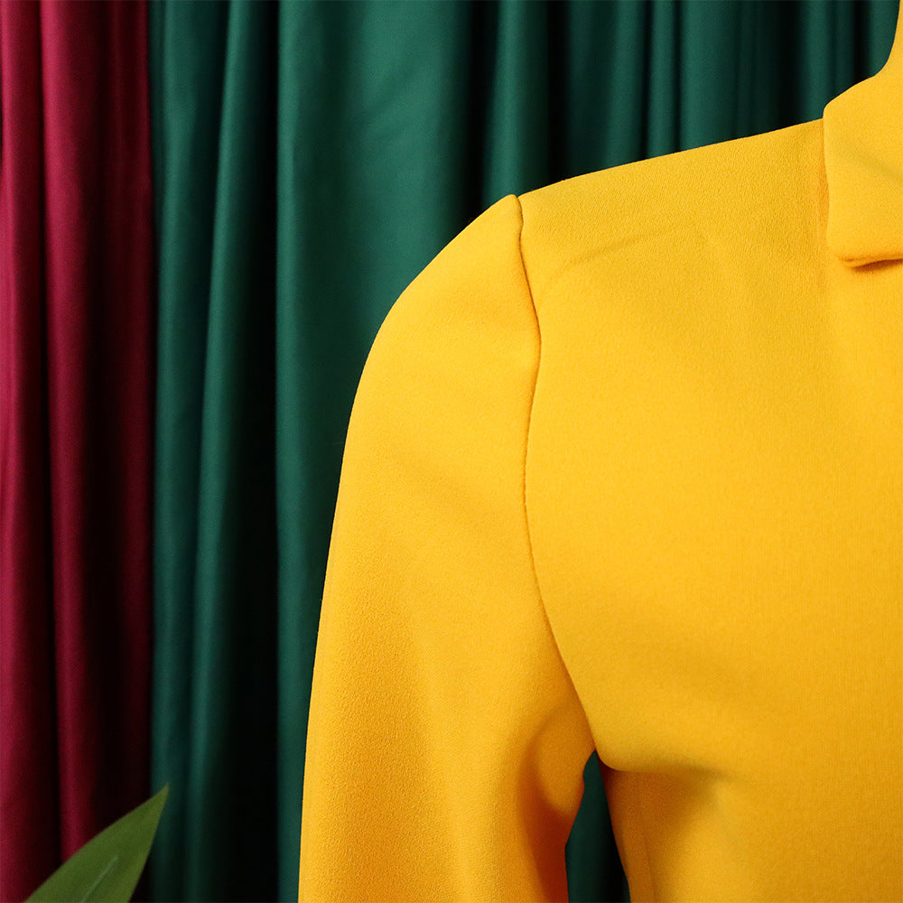 Plus Size Women's Fashion Turndown Collar Fashion Lace-Up Slim Waist Pleated African Dress 17