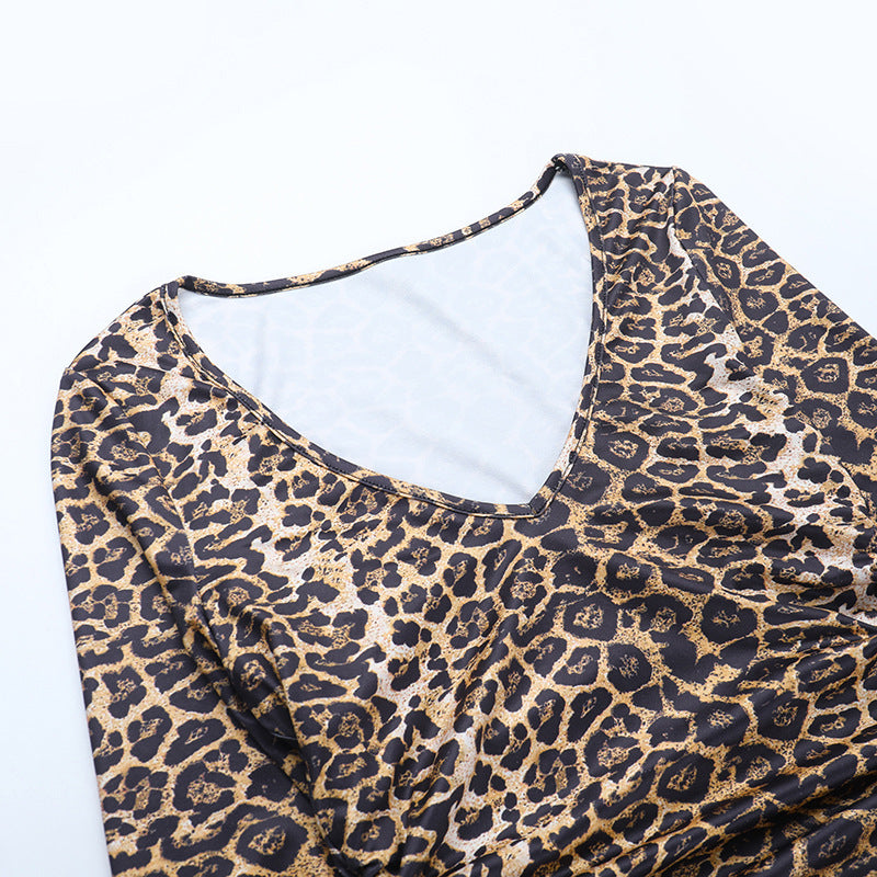 Women Fall V-Neck Leopard Print Crossover Lace-Up Dress 11