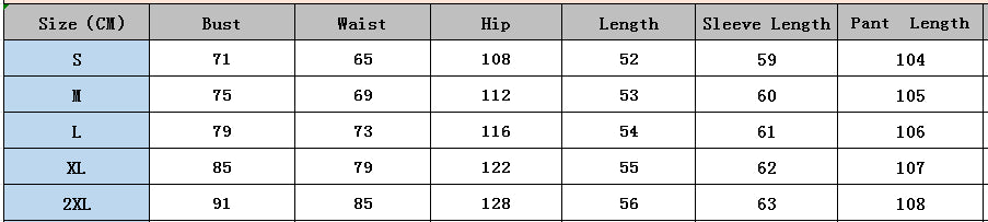 Women autumn and winter two-piece suit solid long sleeve casual wide-leg Pants two-piece suit 15