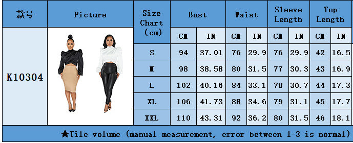 Autumn Women puff sleeve high-neck top 11