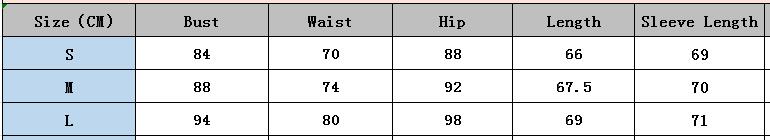 Women Puff Sleeve V Neck Sequin Party Evening Dress Sexy Bodycon Dress 8