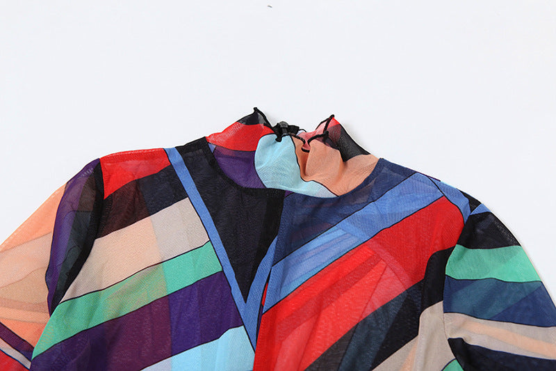 Women Winter Trend Multi-Color Printed Half-High Neck Long Sleeve Mesh Dress 11