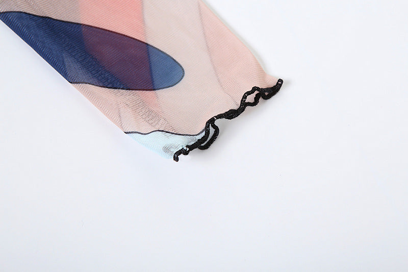 Women Winter Trend Multi-Color Printed Half-High Neck Long Sleeve Mesh Dress 14