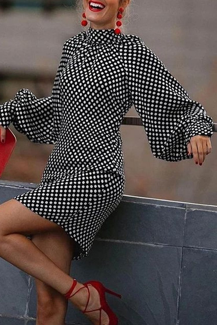 Spring And Autumn Fashionable Polka Dot Print Dress For Women 12