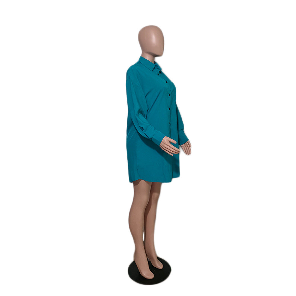 Blue Turn-Down Collar Shirt 11