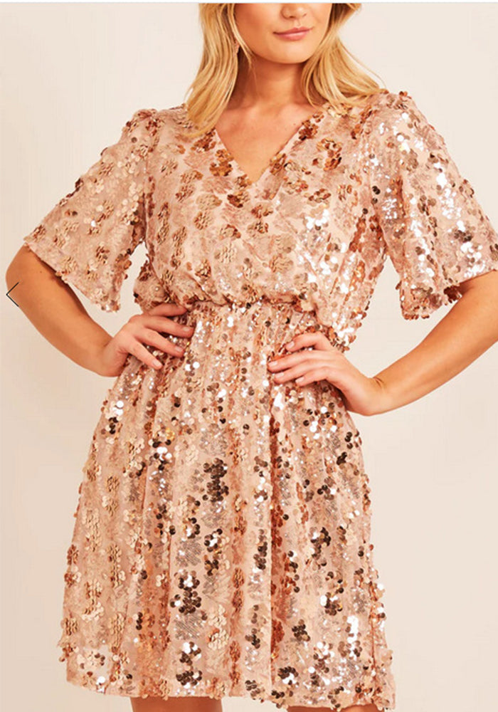 Women's Sequin V-Neck Short Sleeve Sexy Party Dress