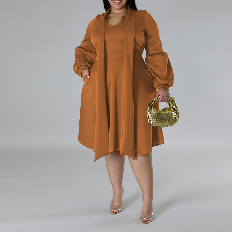 Plus Size Women's tied Neck Puff Long Sleeve A-line Dress 4