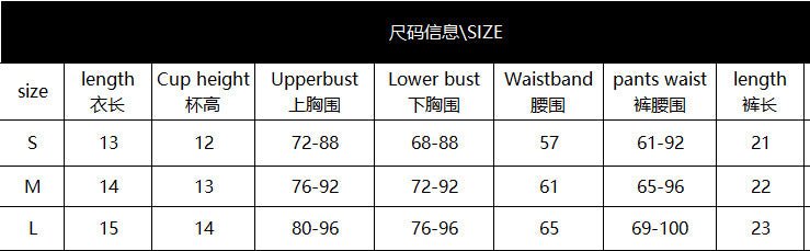 Floral Embroidered Corset Two Piece Lingerie Set - BamBam