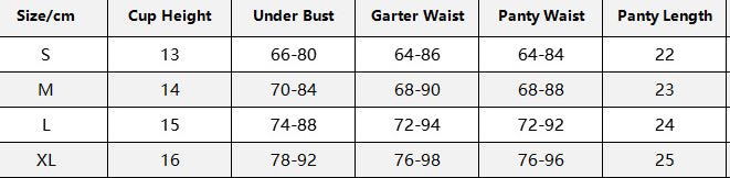 Women embroidered metal buckle lace - up see - through Sexy lingerie set - BamBam