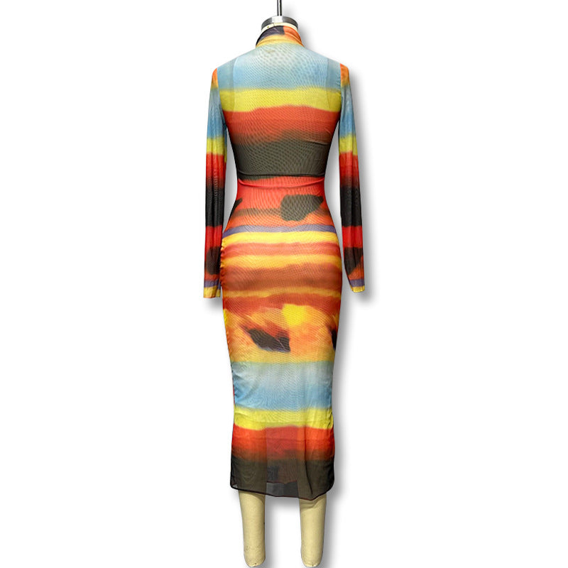 BamBam Multi-Color Printed Mesh Long-Sleeved Slim-Fitting Beach Dress - BamBam