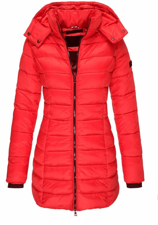 Slim Hooded Zipper Cotton Padded Down Jacket For Women