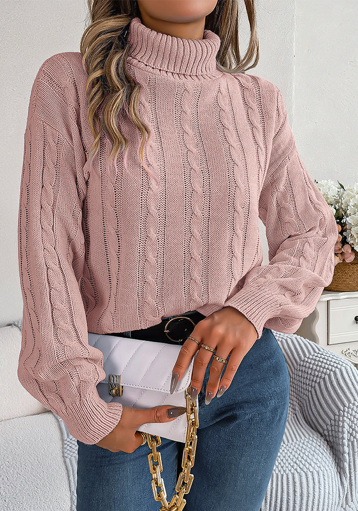 Women Fall/Winter Casual Solid Long Sleeve Turtleneck Sweater